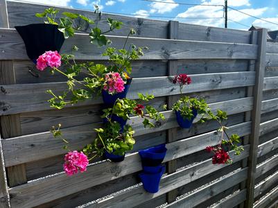 Hanging Modular Wall Planter