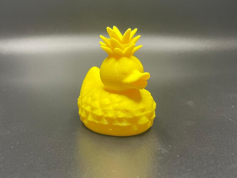 Pineapple Duck 