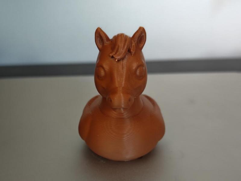 Horse Duck