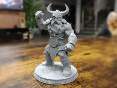 Viking warrior