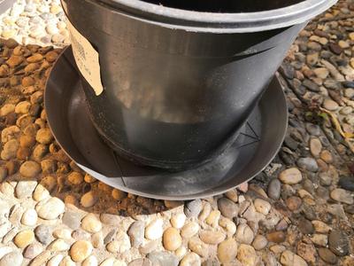 Universal Scalable Plant Saucer