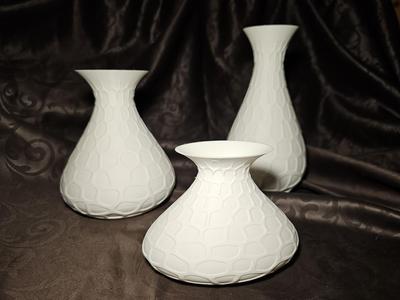 Elegant Voronoi Vase Collection