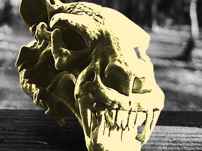 "Lion Wolf" skull