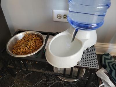 Water jug bowl hold - Modular