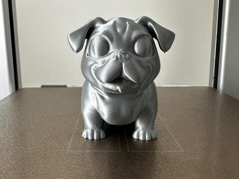 Dog (Pug)