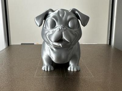 Dog (Pug)