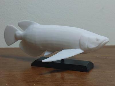 Arowana Fish Mount