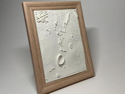 Rome Colosseum Topographic city map