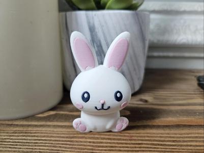 Cute Kawaii Easter Bunny
