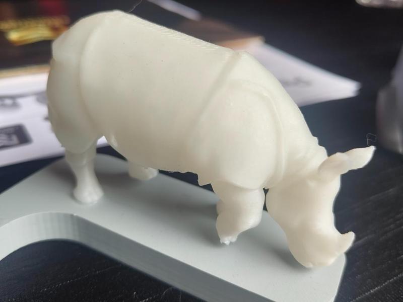 rhinoceros