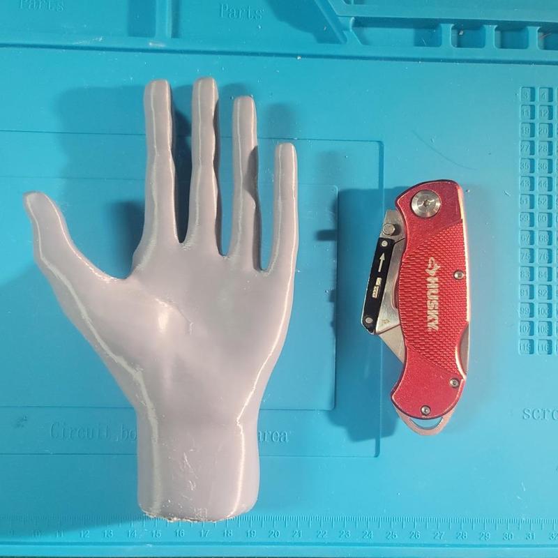 Hand - A simple hand with 5 fingers.