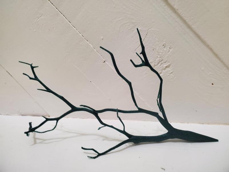 tree branch