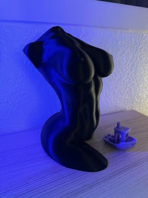 Curvy female body (vase mode)