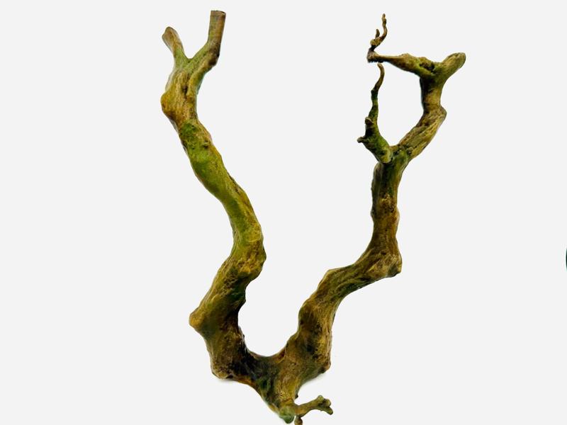 Climbing Branch V