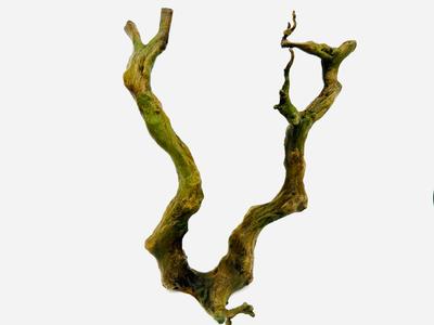 Climbing Branch V