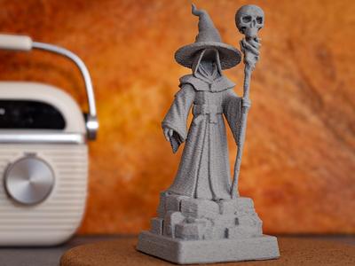 Faceless Sorcerer with Skull Staff 1