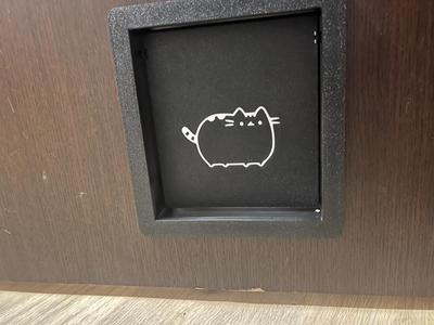 swinging cat door with frame