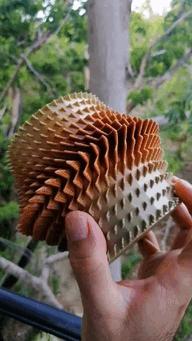 Thorny vase