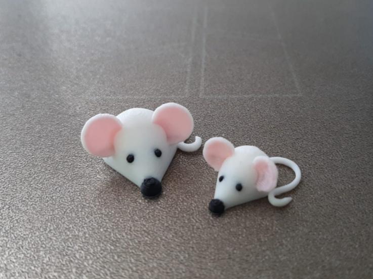 Magic cute mice