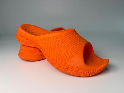 Culter (fish) slides