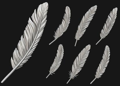 Feather Set six feathers