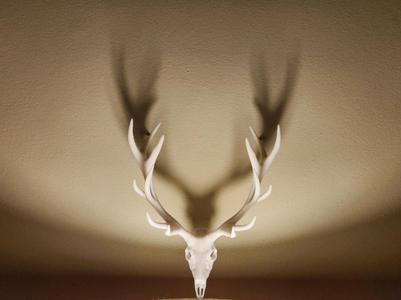 "Elk 2.0" Skull