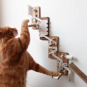 Cat Marble Run Treat Dispenser
