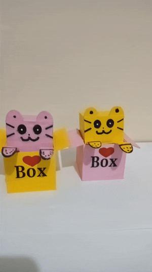 🐱BOUNCING CAT BOX