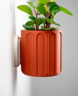 Wall Planter with Hidden Drip Tray - LG01