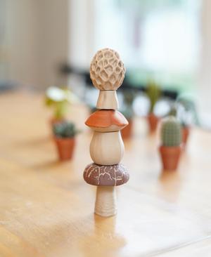 Magnetic Mushrooms - Fidget Toy with Magnetics, Joystick, Slider, Pop Fidgets - Pocket Plants