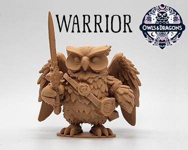 The Warrior - Owls & Dragons