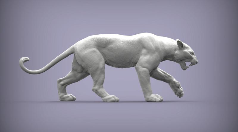 panther