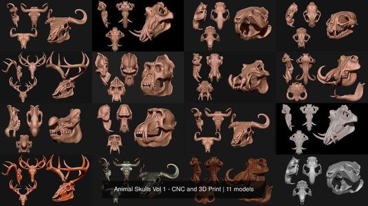 Animal Skulls Vol 1 - CNC and 3D Print 3D Model Collection