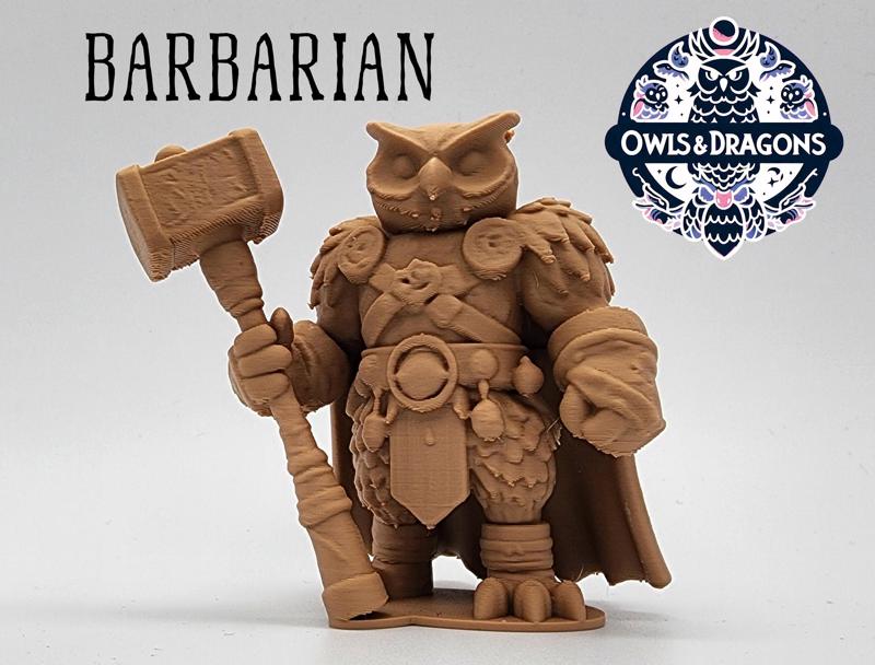The Barbarian - Owls & Dragons