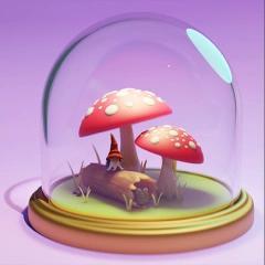 Mushroom Terrarium