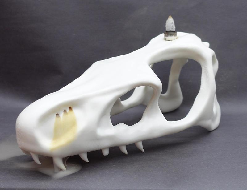 Dragon Skull Incense Burner