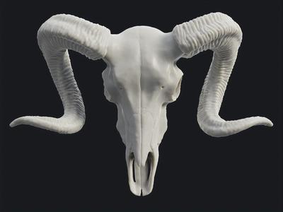 Ram Skull Pendant
