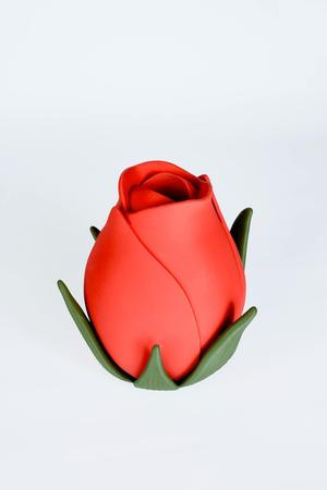 Enchanting Rose Vase for Romantic Living Room Decor