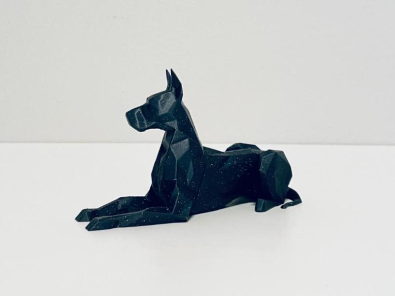 Stylish dog