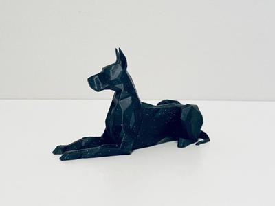 Stylish dog