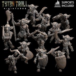 Goblin Raider Pack - Pre-Supported