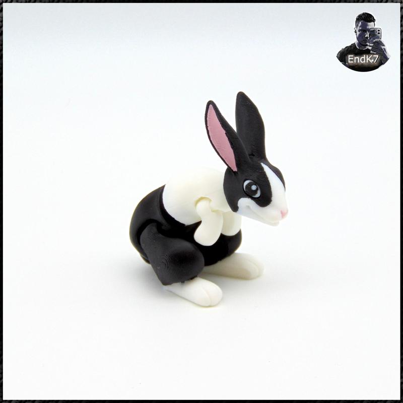 Cute articulated rabbit separated Eyes & Keychain