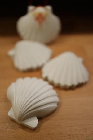 Bilderrahmen mit Jakobsmuscheln   