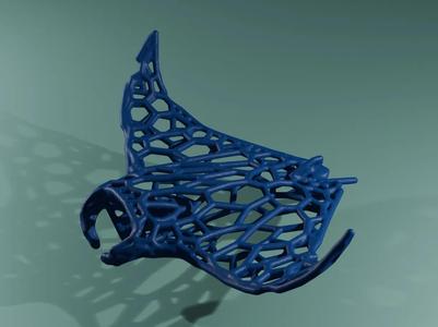 Manta Ray Voronoi   