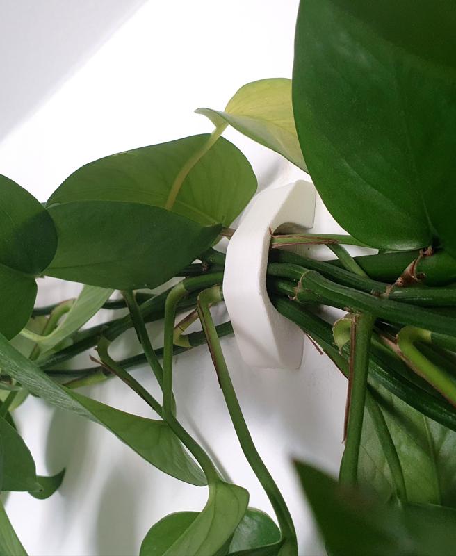 Plant Routing Thing