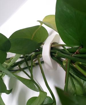 Plant Routing Thing