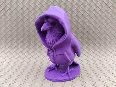 Eagle in a Hoodie