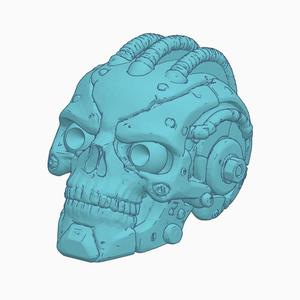 Dummy 13 cyber skull head