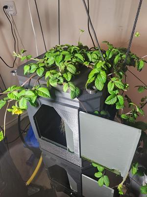 Mod Pot (Modular Aeroponics Grow System)