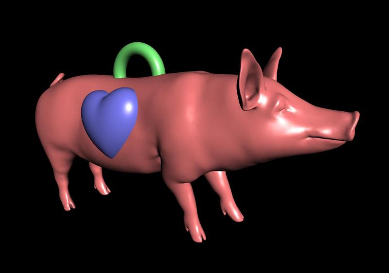 Pig love